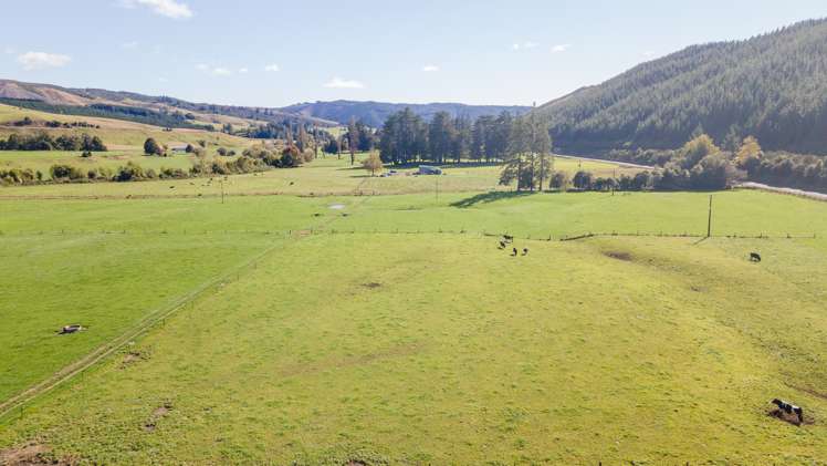 226 Wai-Iti Valley Road Wakefield_6