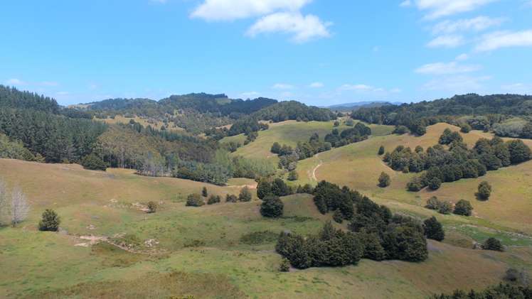 328 Oetzman Road Towai_15