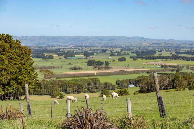 91 Chester Park Drive West Taratahi_24