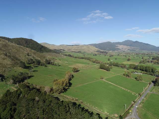 386 Rawhiti Road Te Aroha_3