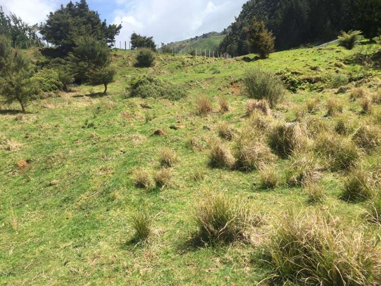 326 Ahuroa Valley Road Makarau_13