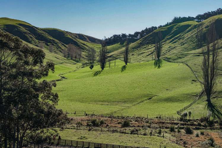 717k Puketitiri Road Puketapu_43