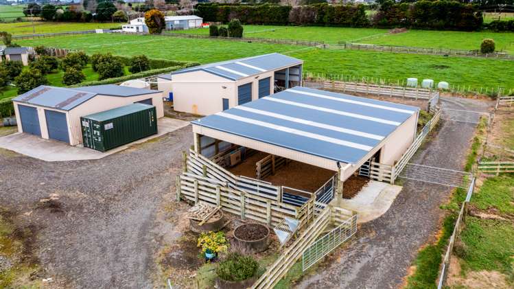 112b Princess Street Waitara_31