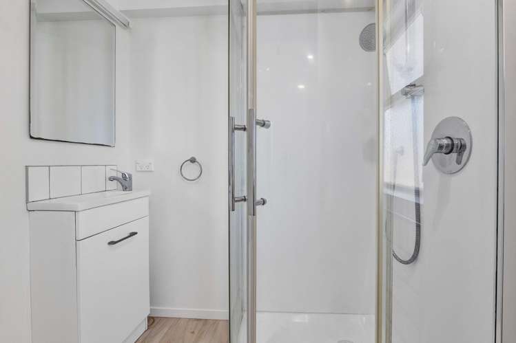 25A Saxton Road Vogeltown_9