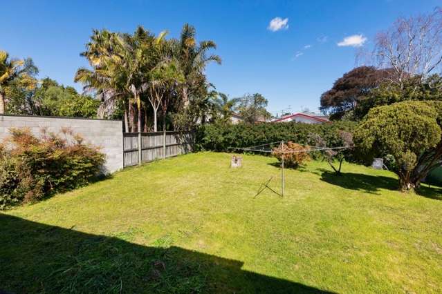 4 Fowler Avenue Mount Albert_1