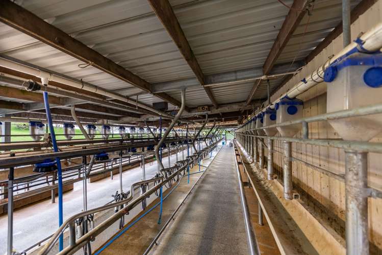 206 Ash Pit Road Rerewhakaaitu_5