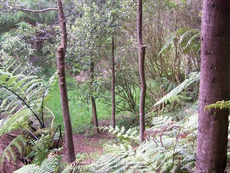 301 Pretoria Road Shannon_16