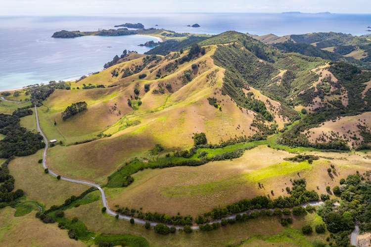Ngahau Bay Road Hukerenui and Surrounds_10