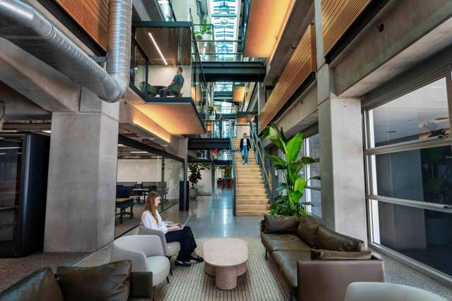 B:Hive/74 Taharoto Road Takapuna_2