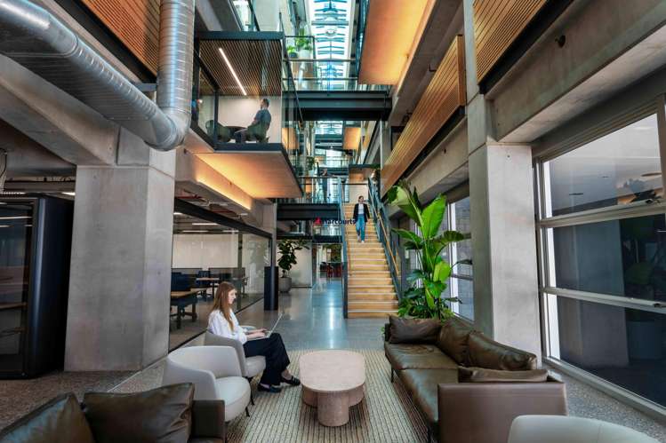 B:Hive/74 Taharoto Road Takapuna_2