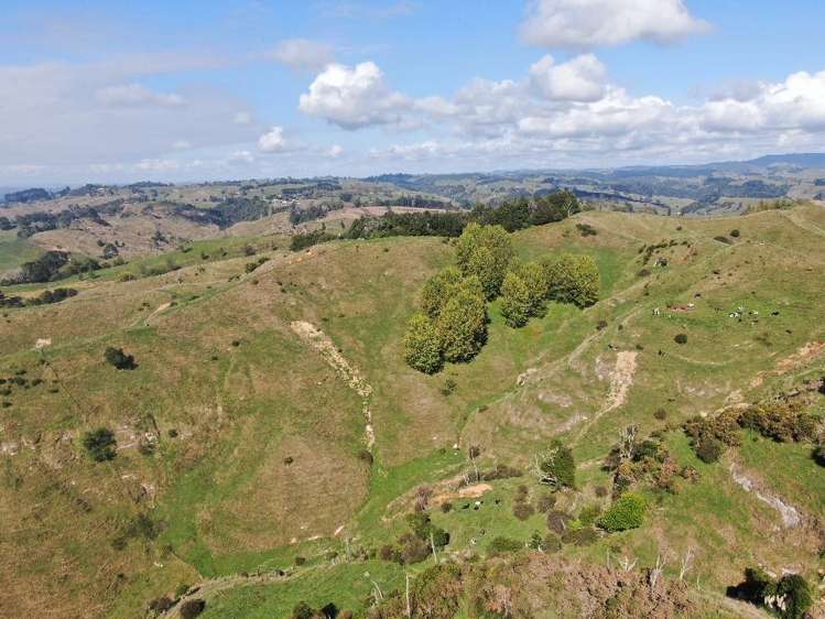 284 Owaikura Road Otorohanga_6