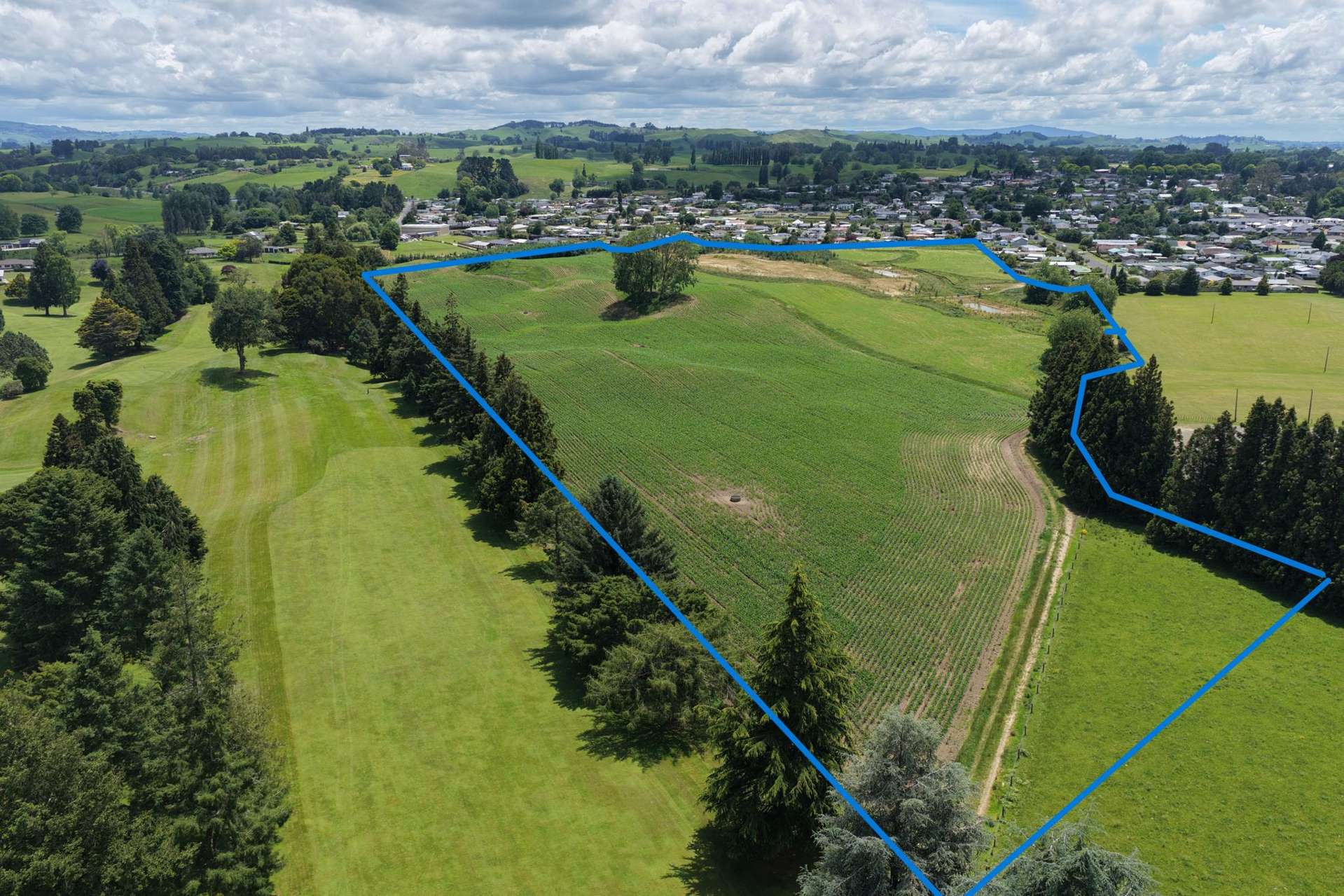 Lot 4 Kennedy Drive & Lot 101 Maple Drive Putaruru_0