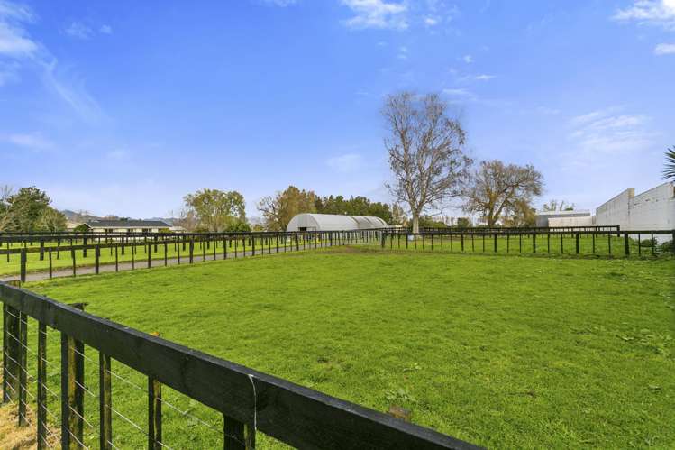 40 Racecourse Road Te Aroha_24