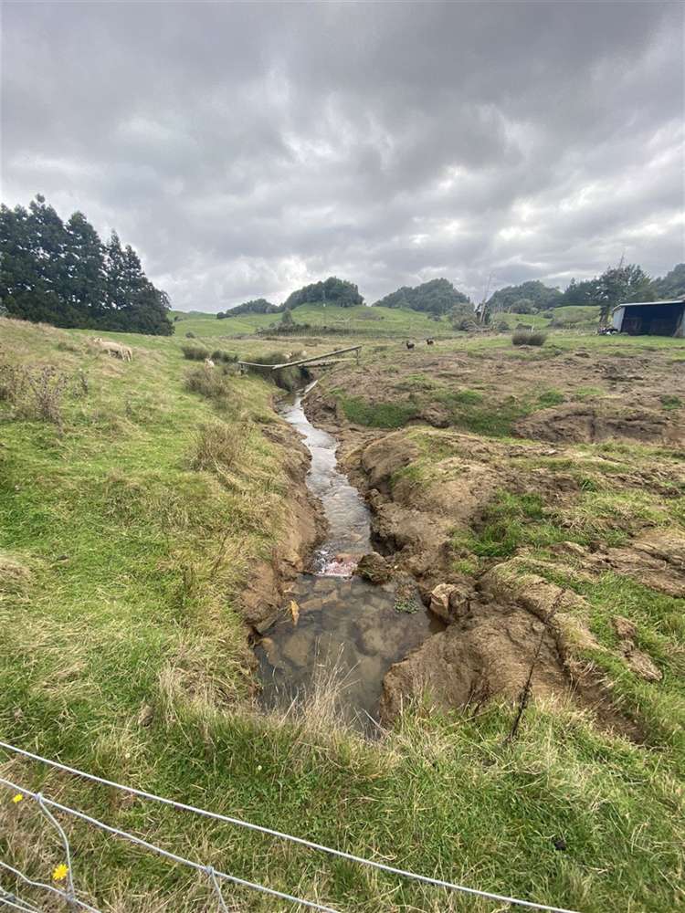 1219 Pungarehu Road Piopio_2