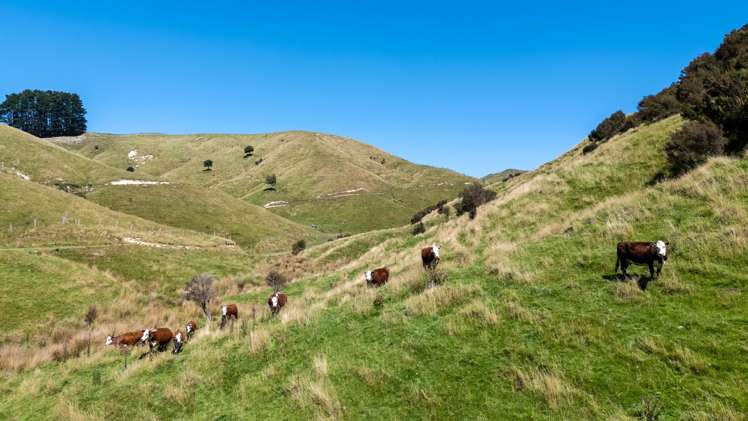 1823 Opaki Kaiparoro Road Mauriceville_15