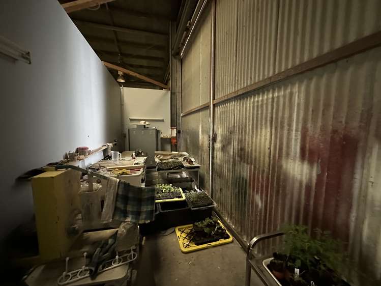 62 Austin Street Onekawa_6