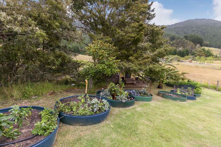 958 Whangaripo Valley Road Whangaripo_16