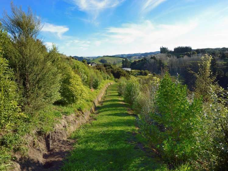 11 Esk View Road Eskdale_16