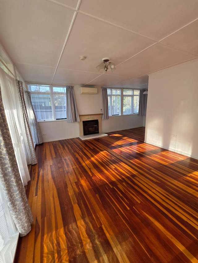  12 Massey Road Mangapapa_1