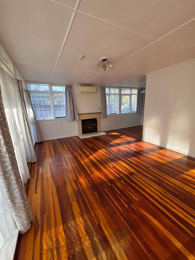  12 Massey Road Mangapapa_1