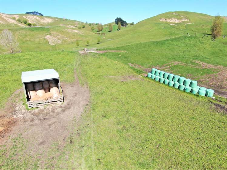 338 Te Awa Road Hawkes Bay_13