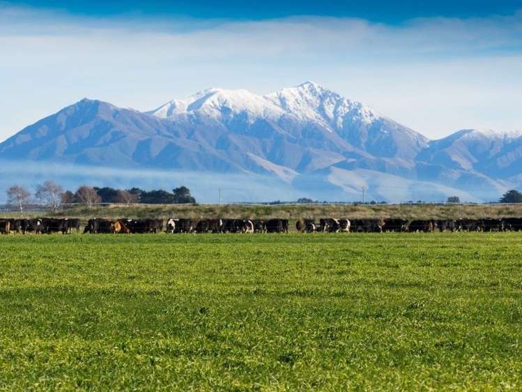 671 Hinds Lismore Road Lismore_9