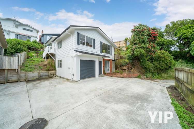 11 Petherick Crescent Johnsonville_11
