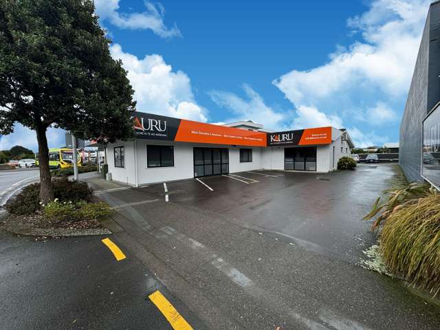 117 Rimu  Road Paraparaumu_1