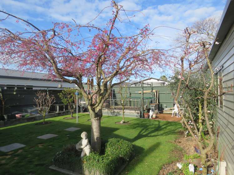 88 Princes Street Netherby_2