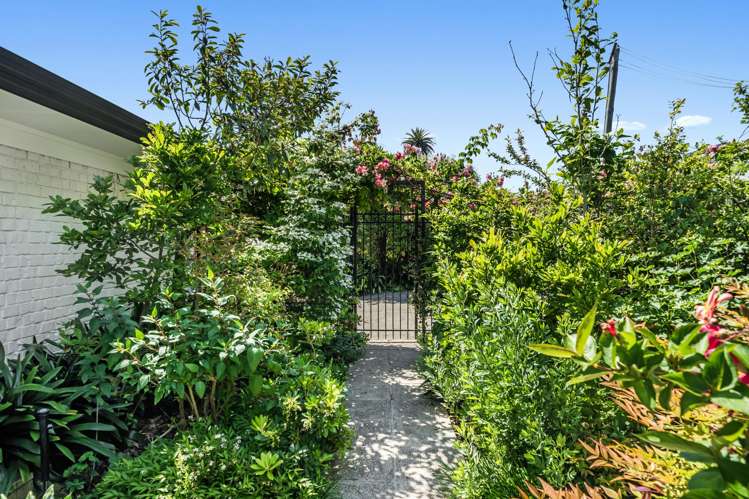 3b Walton Street Remuera_21