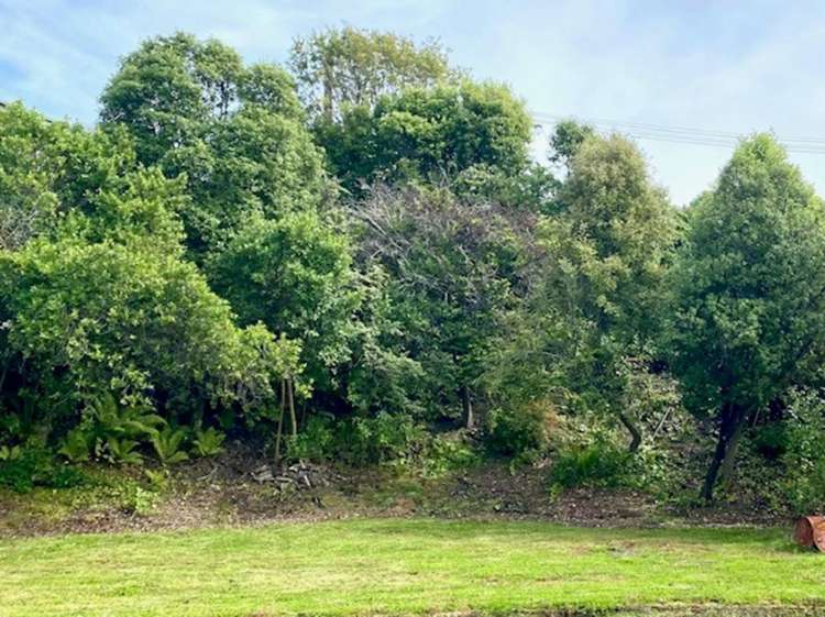 4a & 6 McIntosh Road Brighton_22