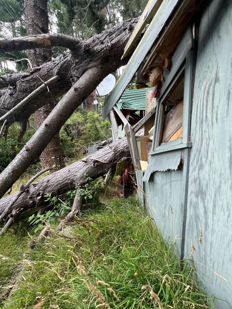 Ahitarakihi Bay Queen Charlotte Sound_10