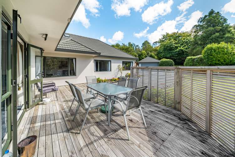 31a Emerald Hill Drive Birchville_6