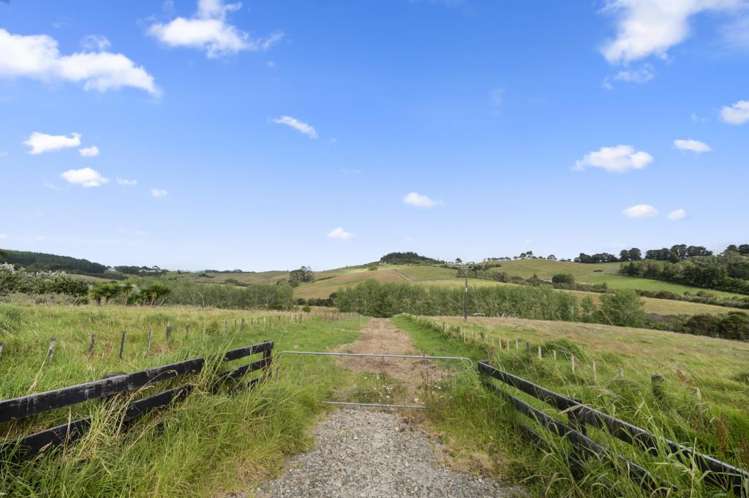 Lot 2 Forestry Road Waitoki_15