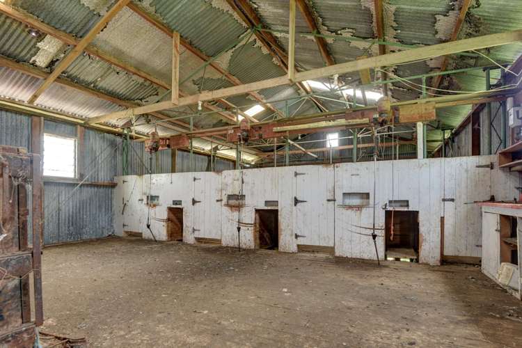 1173 Karahaki Road Waverley_24