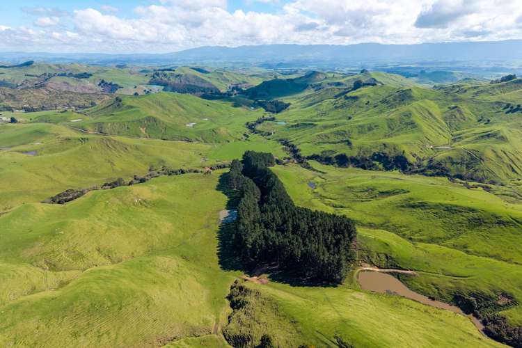 558 Pukeatua Road Dannevirke_7