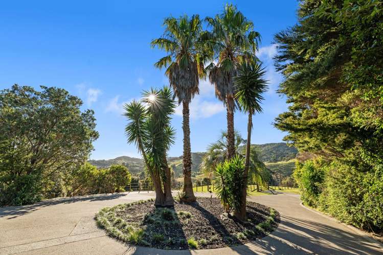 700 Hibiscus Coast Highway Hatfields Beach_8