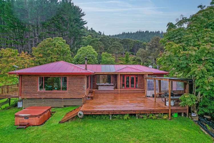 495 mill Creek Whitianga_34