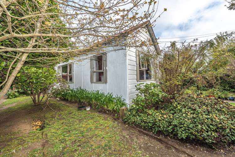 41 Gloag Street Waverley_9