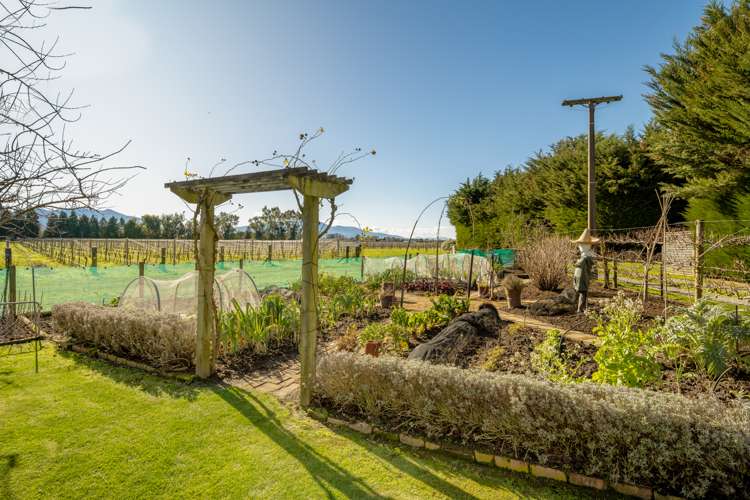 34 Saint Leonards Road Springlands_20