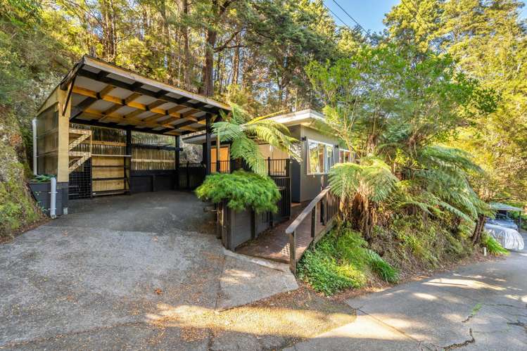 90 Blue Mountains Road Pinehaven_21