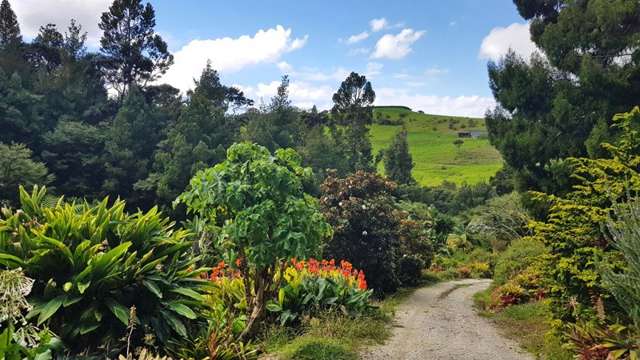 40 Kauri Grove Mangawhai_2