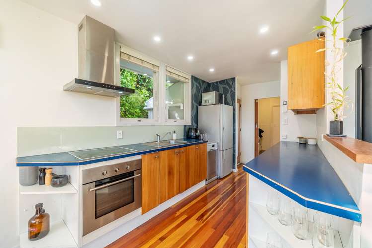 61 Mana View Road Camborne_4