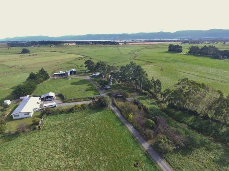 2246 Kahutara Road Kahutara_3