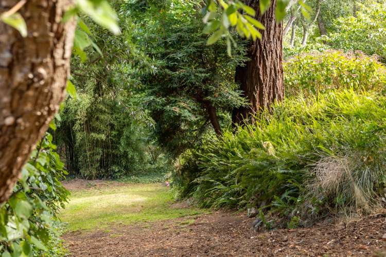 100 Leinster Avenue Raumati South_23