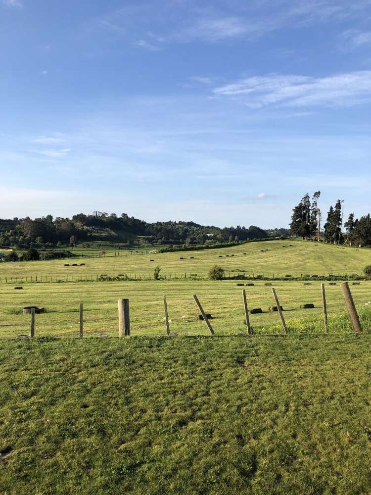 17 Doyle Lane Pyes Pa_17