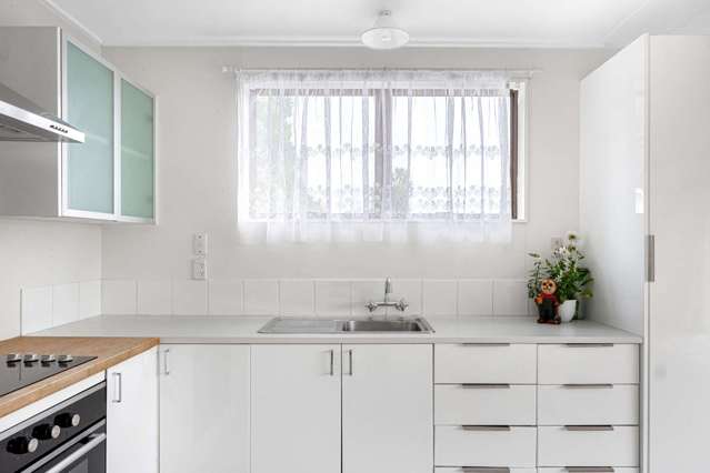 25a Darwin Road Outer Kaiti_3