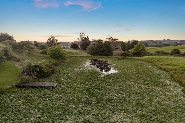 137 Dunn Road Ararimu_53