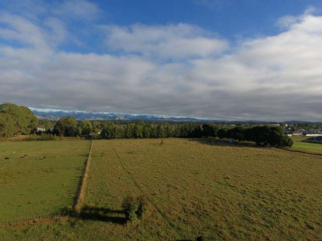 Millard Avenue Masterton_2