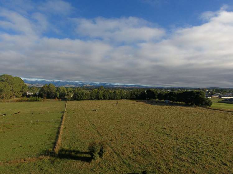 Millard Avenue Masterton_2